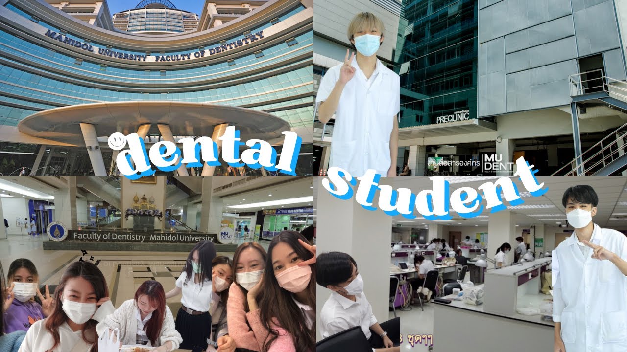 เรียนทันตะทำอะไรบ้าง  ชีวิตของนักศึกษาทันตะมหิดล ปี2 เทอม1 | What dental students do? #univlog
