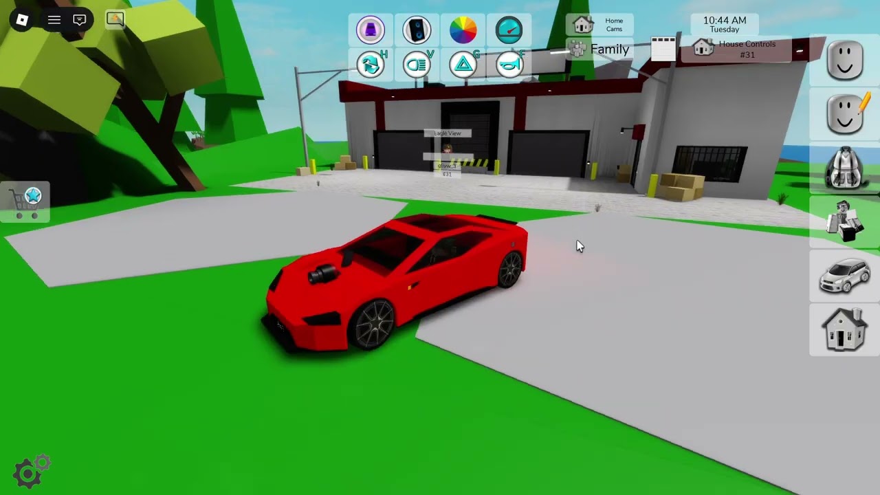 playing Brookhaven