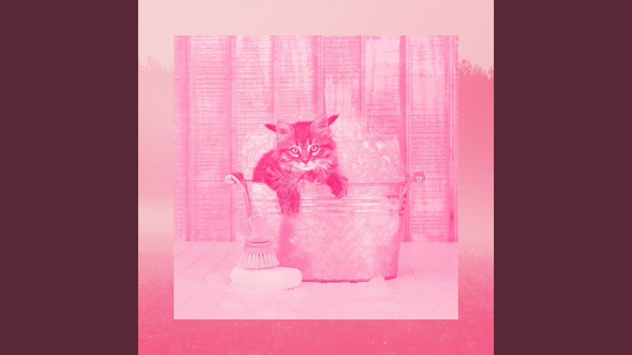 Lonely Ambience for Relaxing Pet Sounds