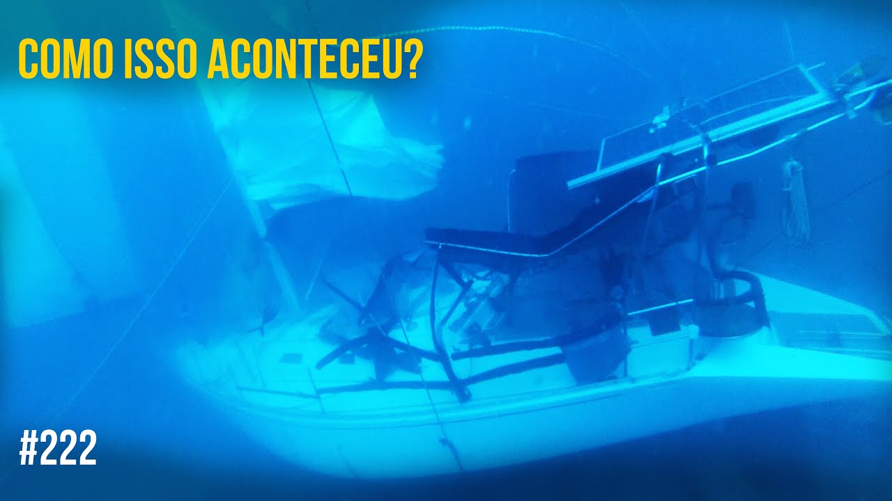 O veleiro que afundou após bater em uma baleia | #SAL #222