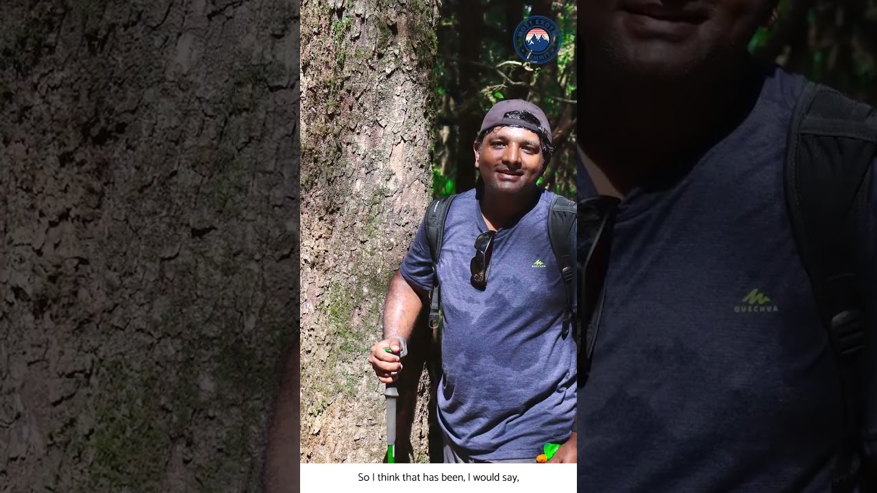 Summit Success: A Journey of Self-Discovery