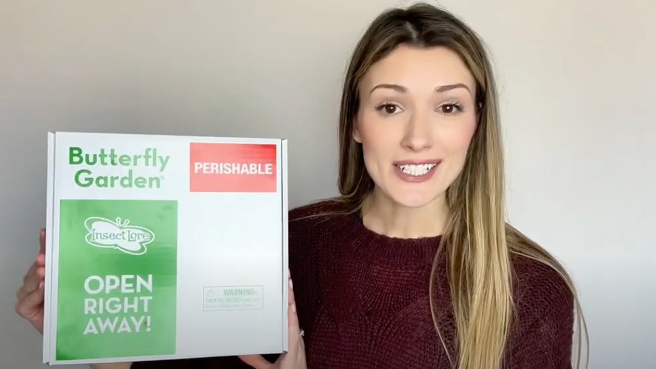 Unboxing Insect Lore's Butterfly Garden Kit with Live Caterpillars