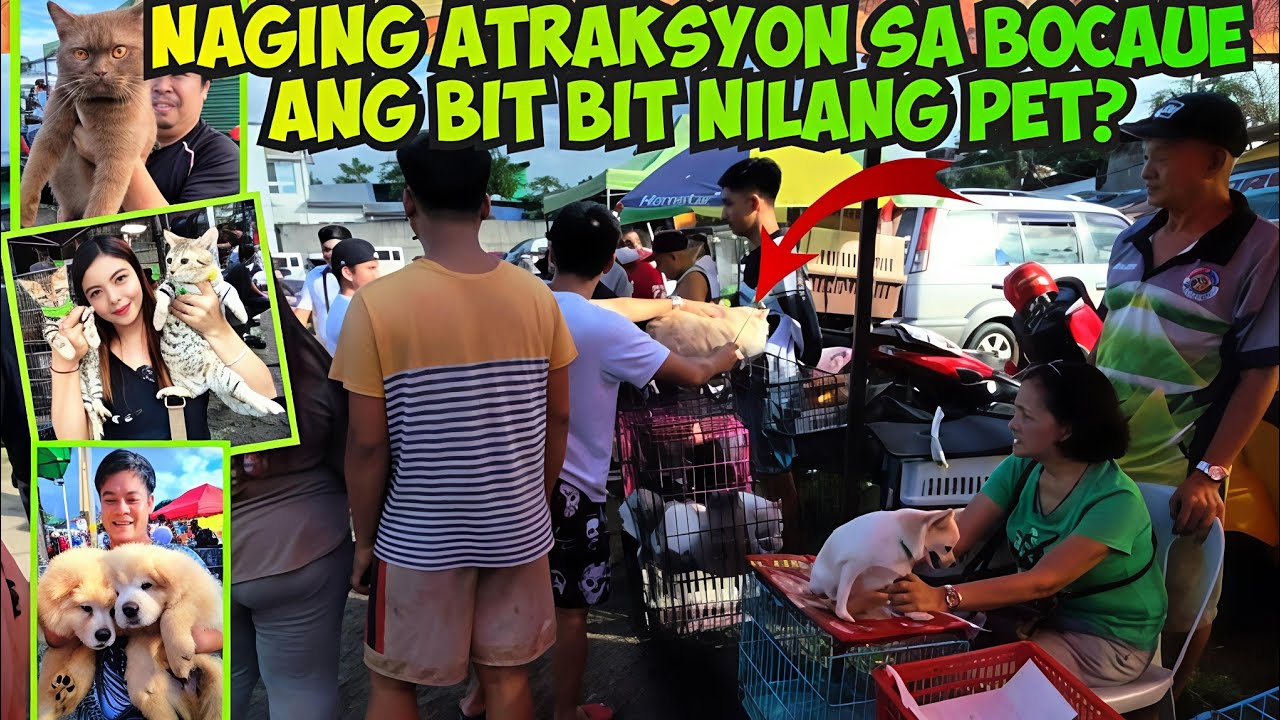 NAPAPATIGIL ANG BAWAT DUMAAN SA GANDA NG DALA NILA! BOCAUE PET MARKET! 12/12/25