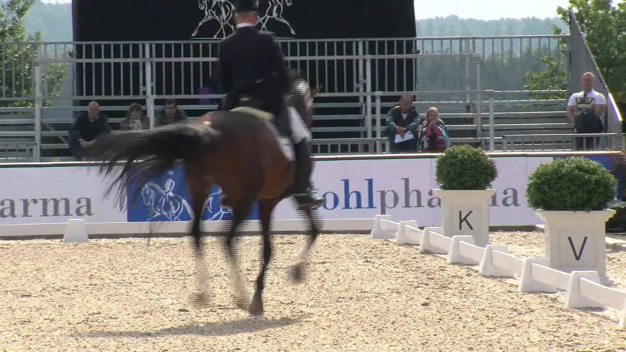 Peterhof Dressur Gala 2015 - Hubertus Schmidt mit Estobar NRW - FEI Intermediaire B