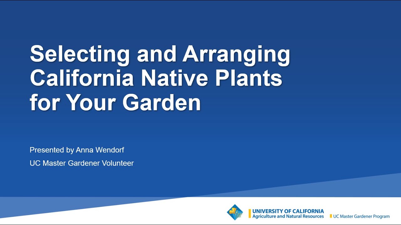 Selecting and Arranging California Native Plants for Your Garden