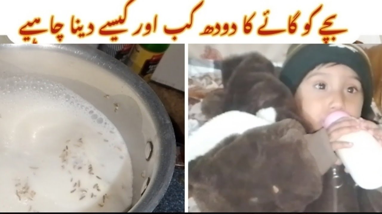 کیا 1 سال سے کم بچے کو گائے کا دودھ دینا محفوظ ہےcomplete guide for Mom