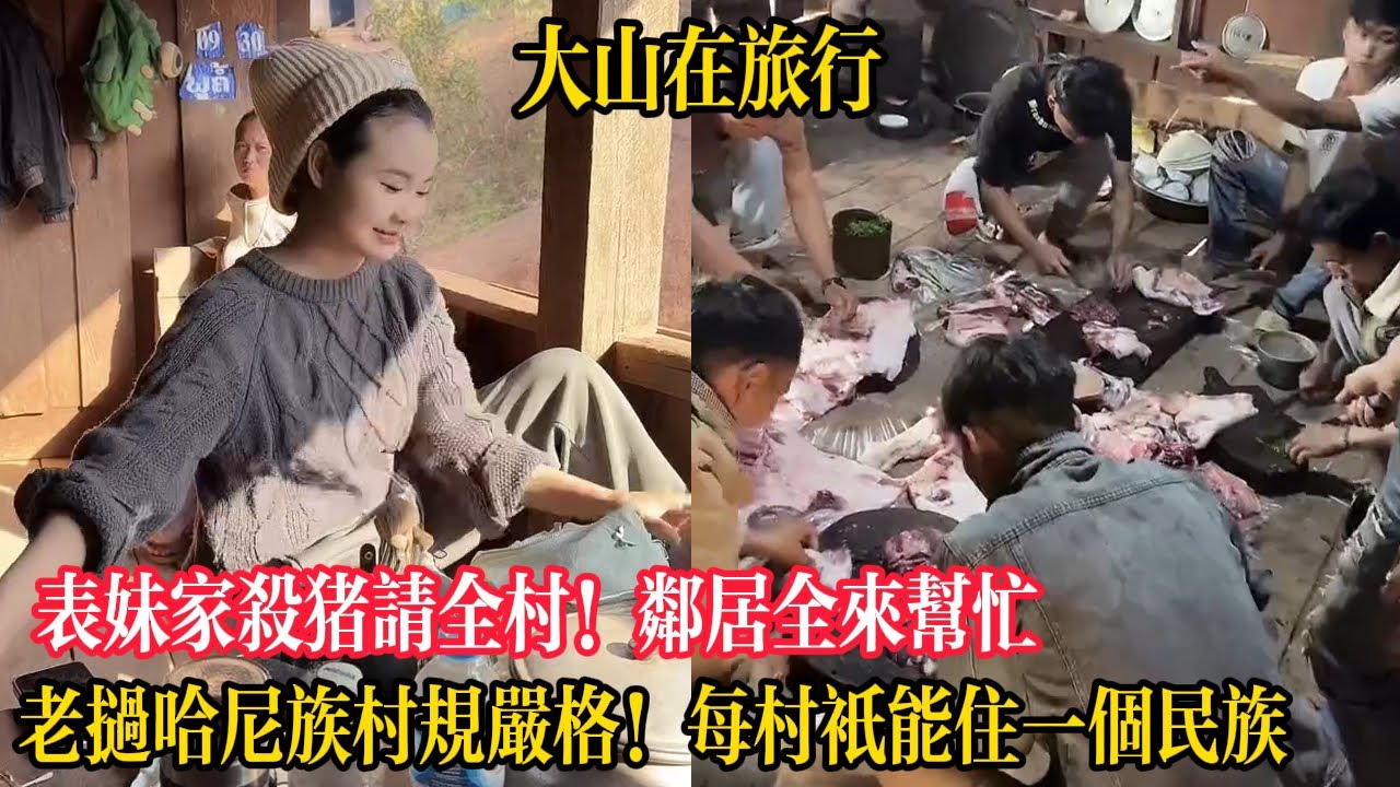 【大山在旅行】表妹家殺豬請全村！鄰居全來幫忙，老撾哈尼族村規嚴格！每個村只能住一個民族