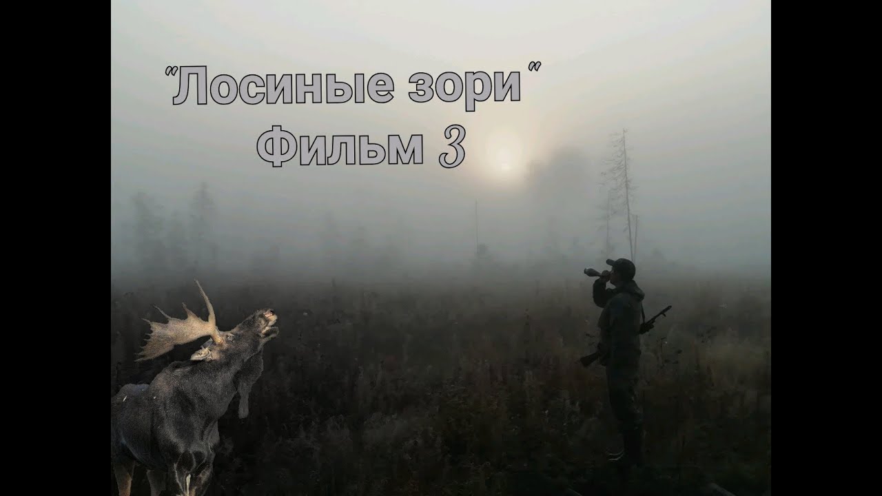 Лосиные зори. (На лося на реву. Осень 2020) Фильм 3