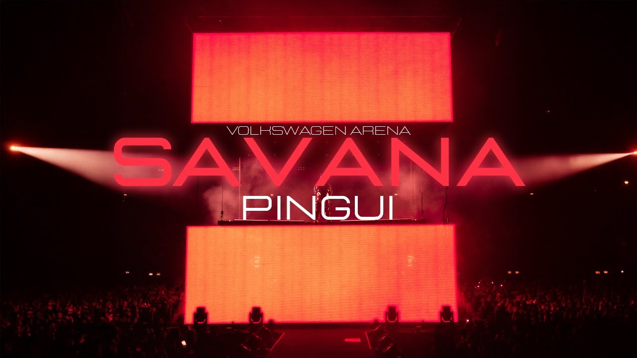 PİNGUİ / SAVANA - FAENA / Live @VWArena