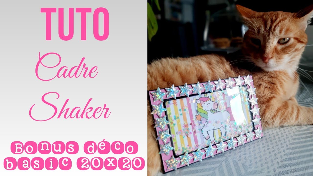 TUTO BONUS CADRE SHAKER | Déco album basic 20*20 pop up | Chat Scrap |