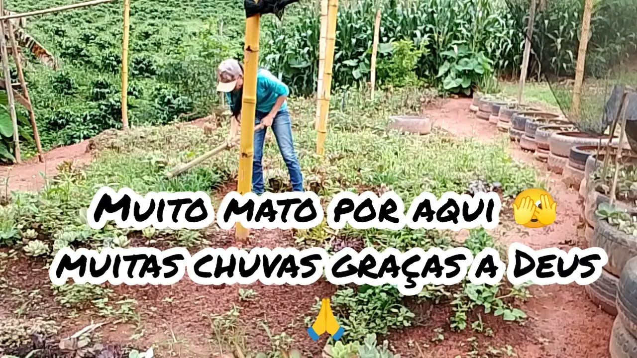 Muiitas chuvas por aqui 🙏 limpeza dos canteiros de tronquinhos no chão 🙏😍