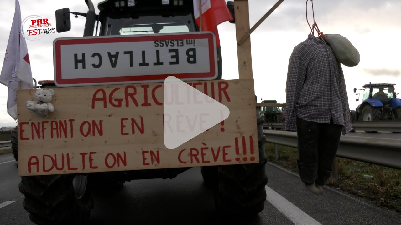 Manifestations : La voix des agriculteurs alsaciens