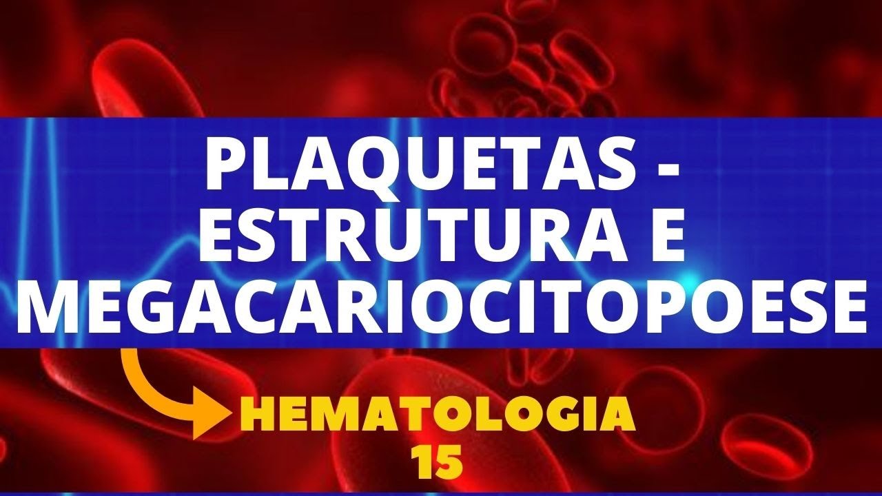 PLAQUETAS - ESTRUTURA  E MEGACARIOCITOPOESE - HEMATOLOGIA - AULA 15