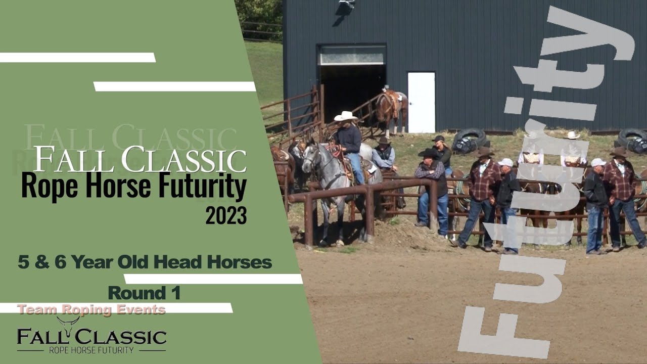 Fall Classic Rope Horse Futurity 2023- 5&6 yr Head Horses Round 1