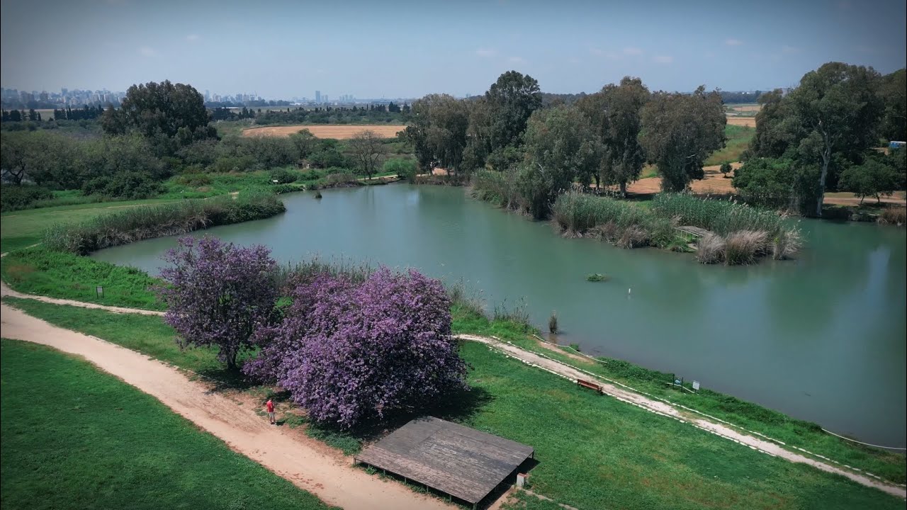פארק אפק (מבצר אנטיפטרוס)