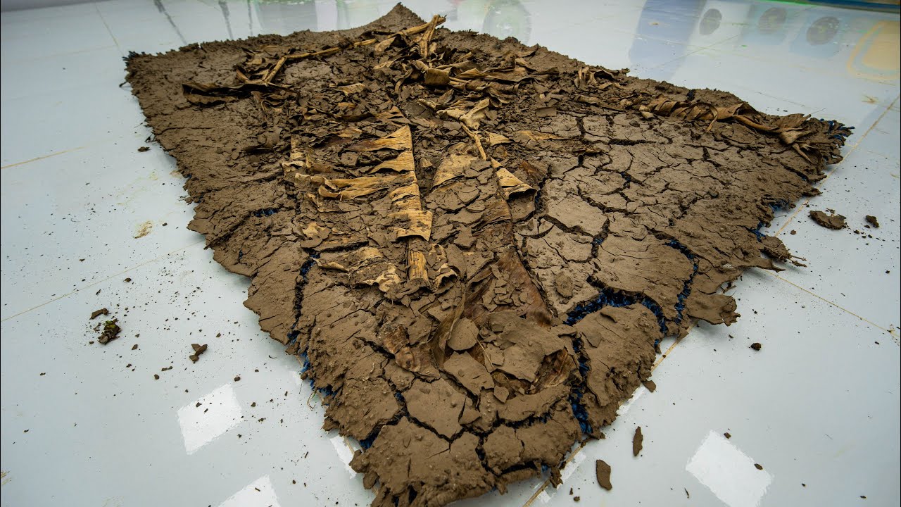 This Shaggy Rug Looks Solid with Mud… Can It Really Be Restored? | Extreme ASMR Carpet Cleaning