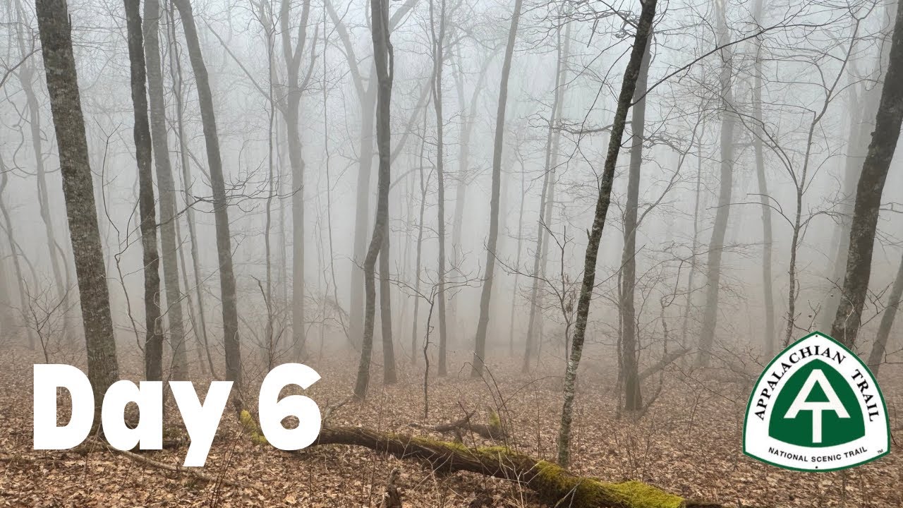 Day 6 Appalachian Trail Thru Hike 2026 | Low Gap Shelter to Unicoi Gap 