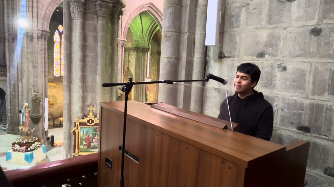 Qué alegría cuando me dijeron - M. Manzano