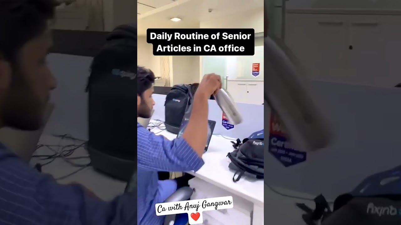 daily routine of senior ca article 🤣 #charteredaccountantclasses #ca #charteredaccountant #cafinal