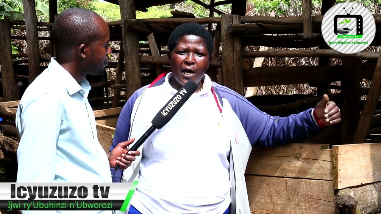 Gicumbi/Kaniga| Alphonsine ni umworozi w'inka ufite ubwatsi bwamufashije kuzamura umukamo.