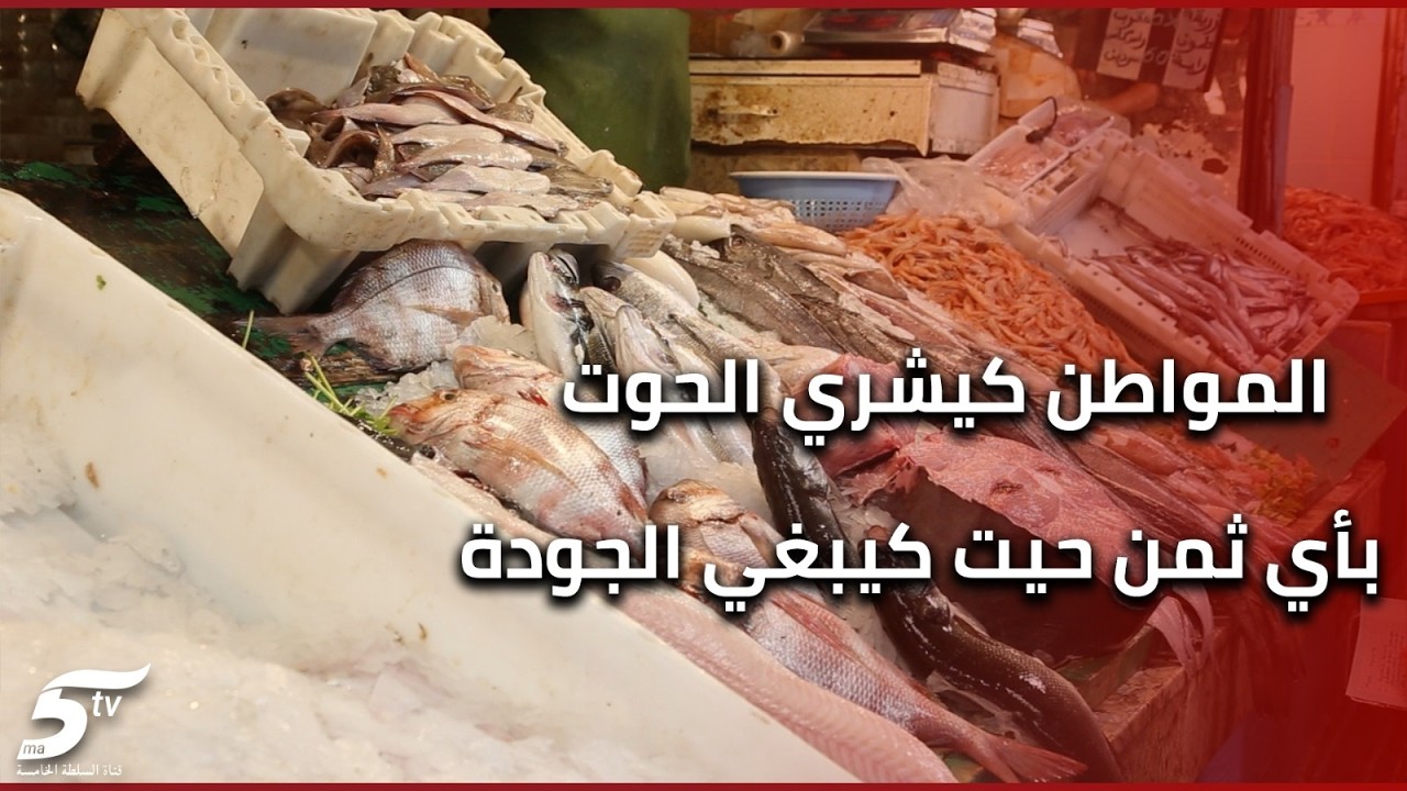 أحمد العيار بائع السمك يكشف أثمنة رمضان ويحكي قصة فكرة كفتة الحوت التي جذبت الزبناء