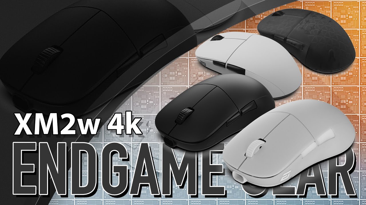 ВОТ ОНА - XM2! Пред-обзор Endgame Gear XM2w 4k (#egg #xm2 #mouse #review)