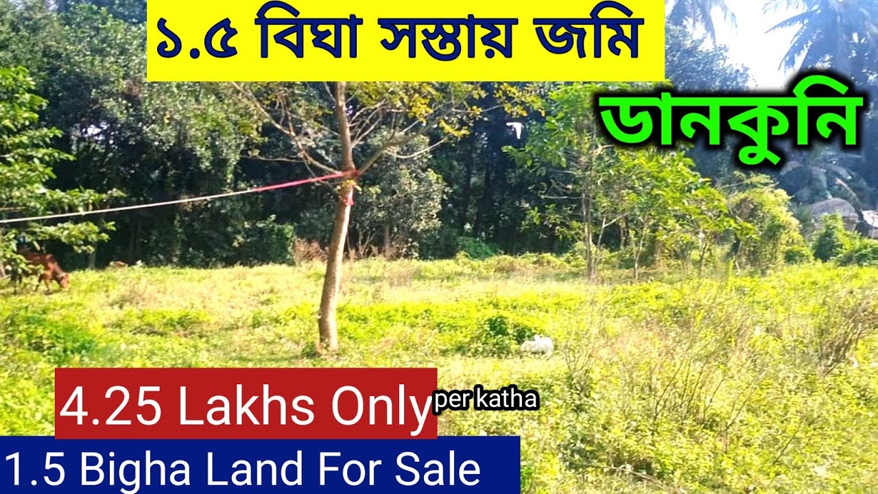 Land For Sale | Land In Dankuni Krishnapur | Hooghly | Land For Sale Dankuni | Plot |Land In Dankuni