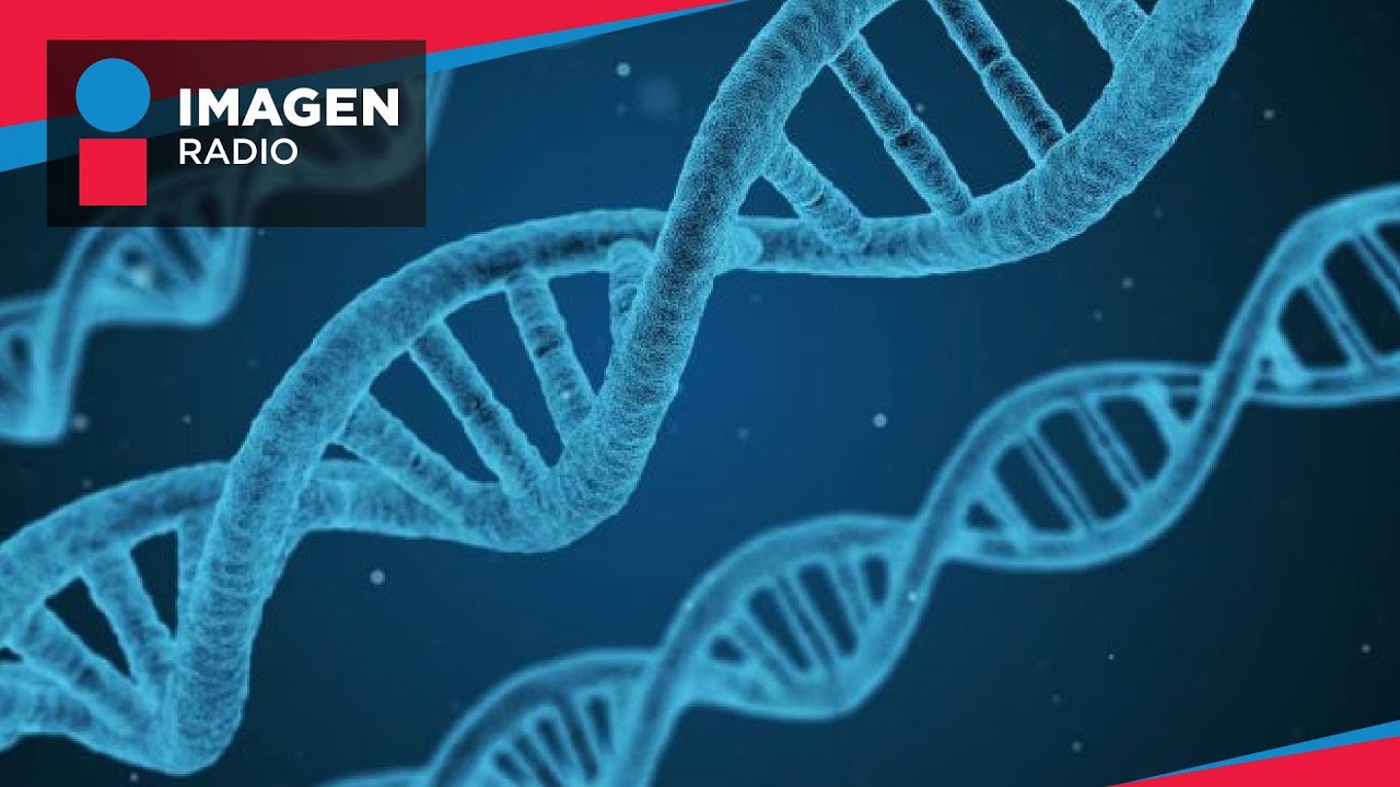 ¿Ya es posible la clonación humana?