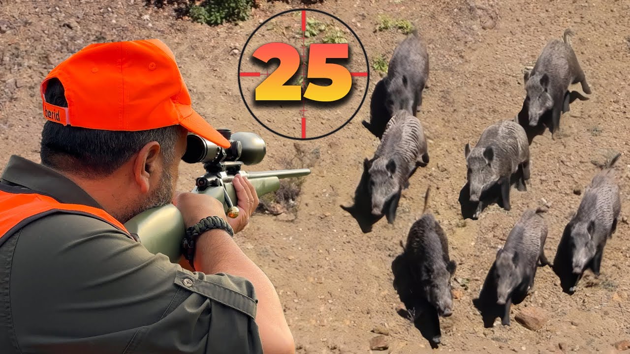 25 Perfect Shots in 14 Minutes | BEST Moments of WILD BOAR Hunts! 🐗