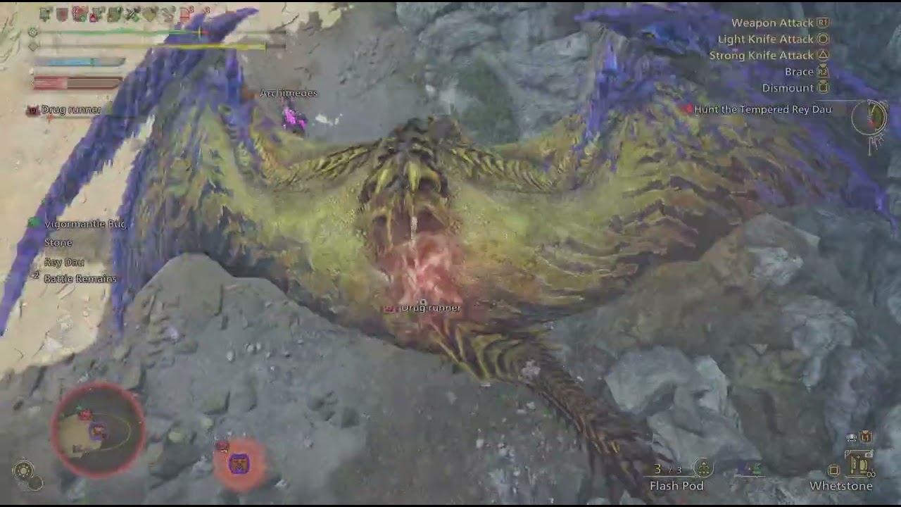 Above Average Ray Dau Fight