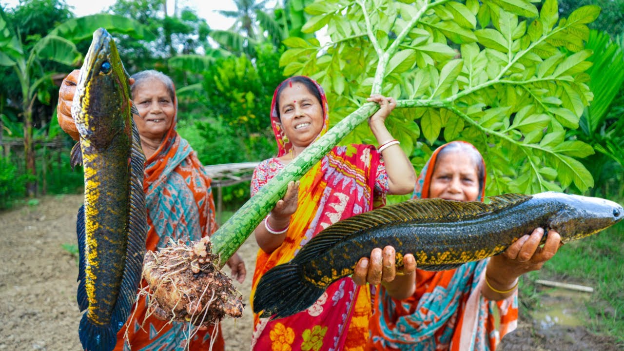বাড়ির পাকা ওল দিয়ে শোল রান্না |
