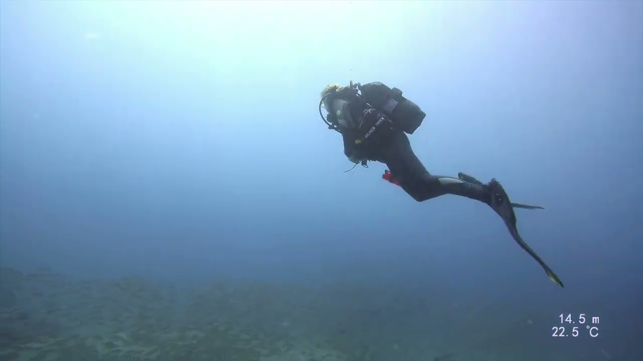 Diving La Gomera, Canary Islands
