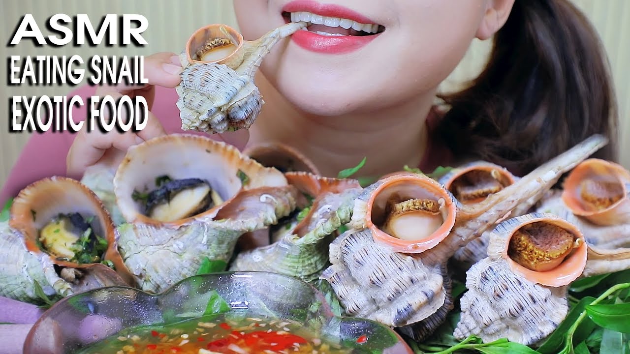 ASMR EATING LABLE SNAIL AND BIG MOUTH SNAIL(EXOTIC FOOD) CHEWY EATING SOUND 먹방 | LINH-ASMR