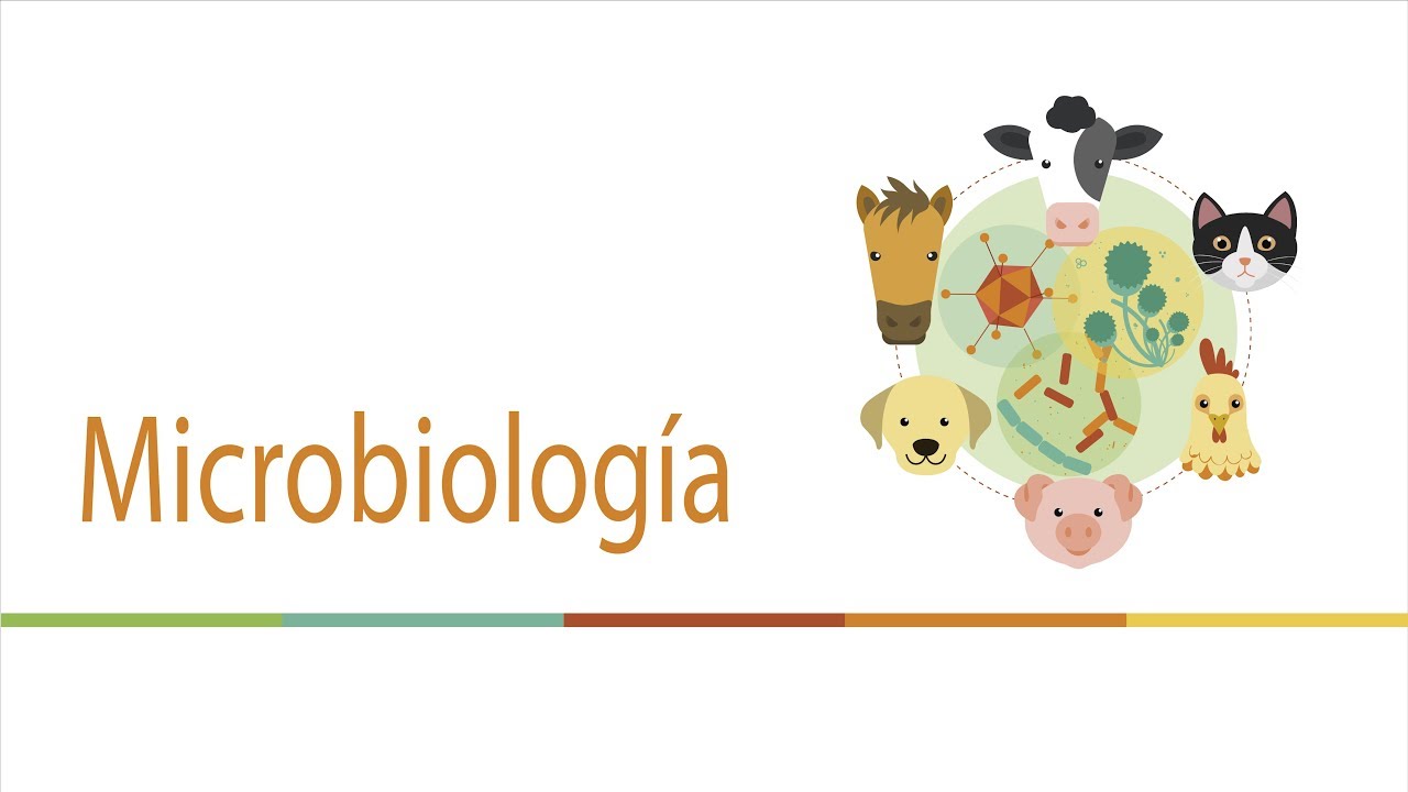 Inoculación de medios de cultivo