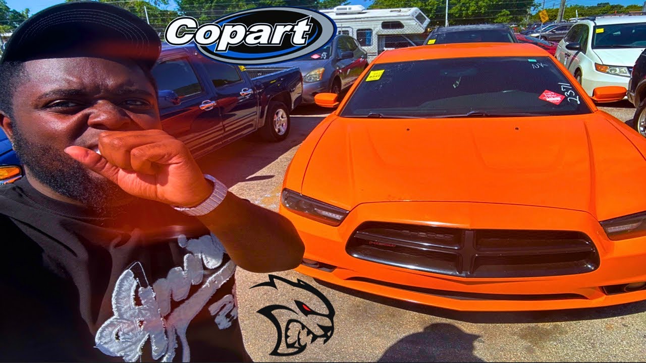 First Day at Cheap Public Car Auction w/ NO DEALERS LICENSE