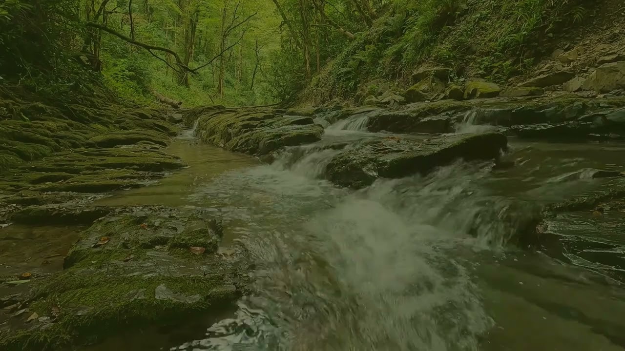 Calming Nature Sounds#1 🌿 Flowing Water for Deep Relaxation!Daily calm to my channel!!!