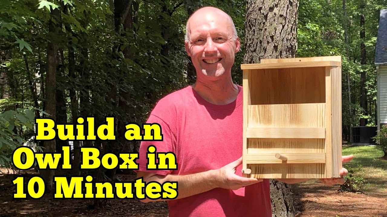 ONKO Owl Nesting Box for Barn & Screech Owls | Review