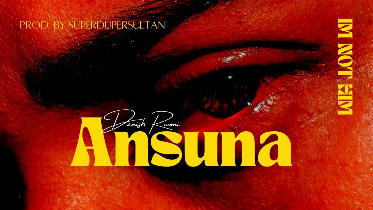 Danish Roomi - Ansuna Prod. by @superdupersultan | I'm not him (Official Visualizer)