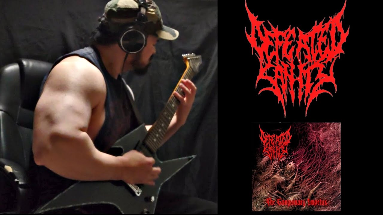 Defeated Sanity - Propelled into Sacrilege (Guitar Cover)