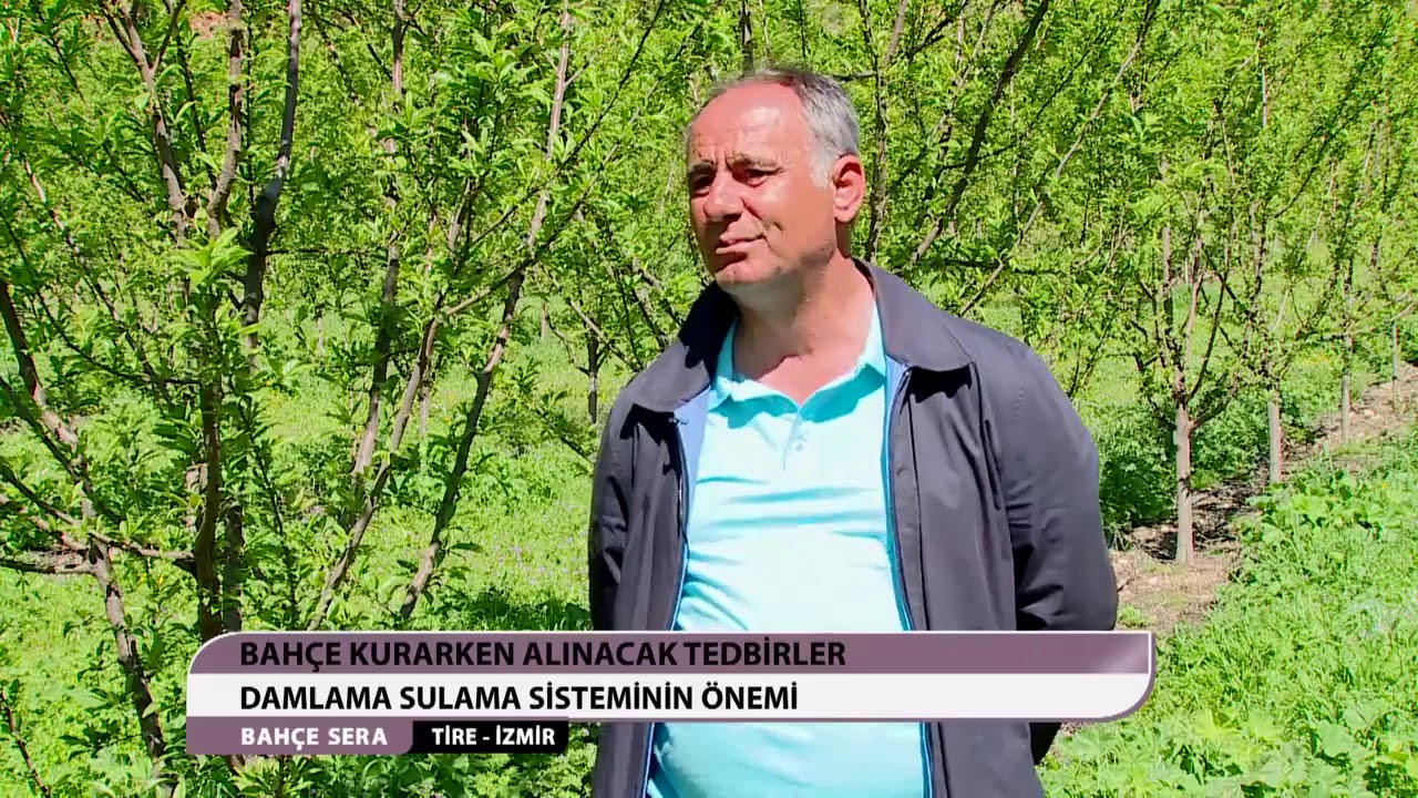 Sık Dikim Erkenci Erik Bahçesi-Black Splendor