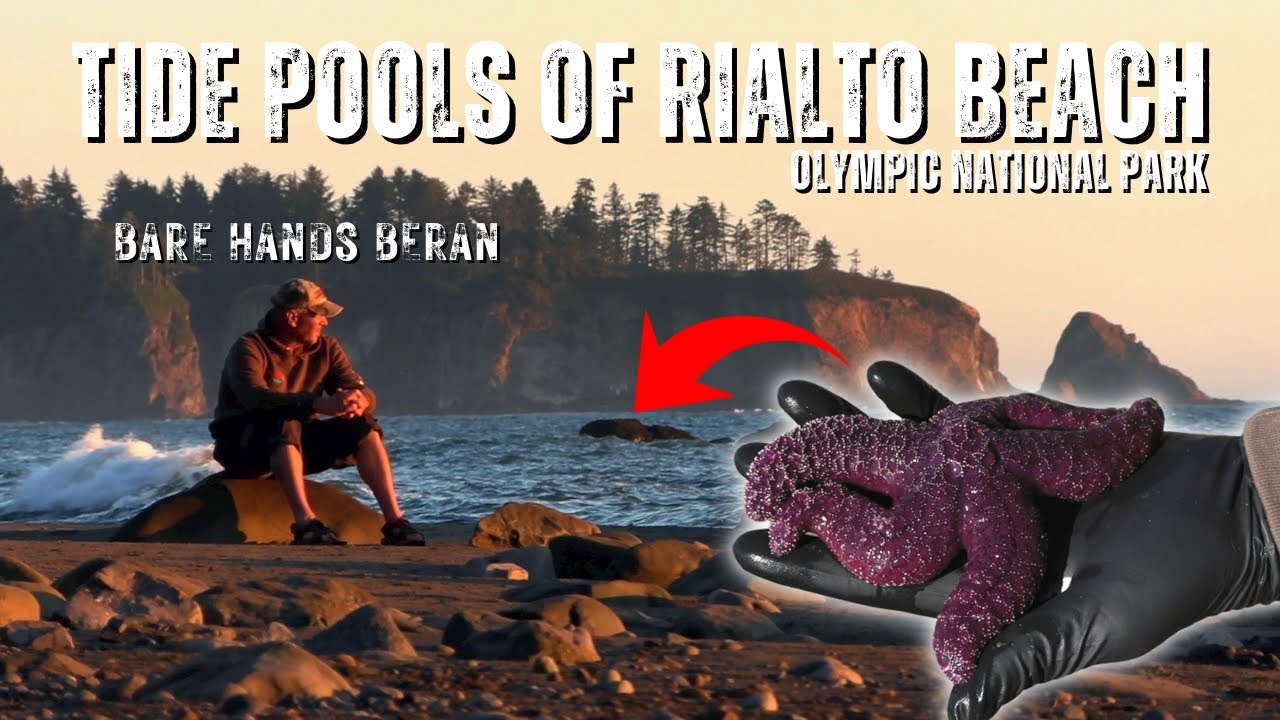 Rialto Beach MUST-SEE | Exploring The Pacific Northwest | Olympic National Park - Ep. 2