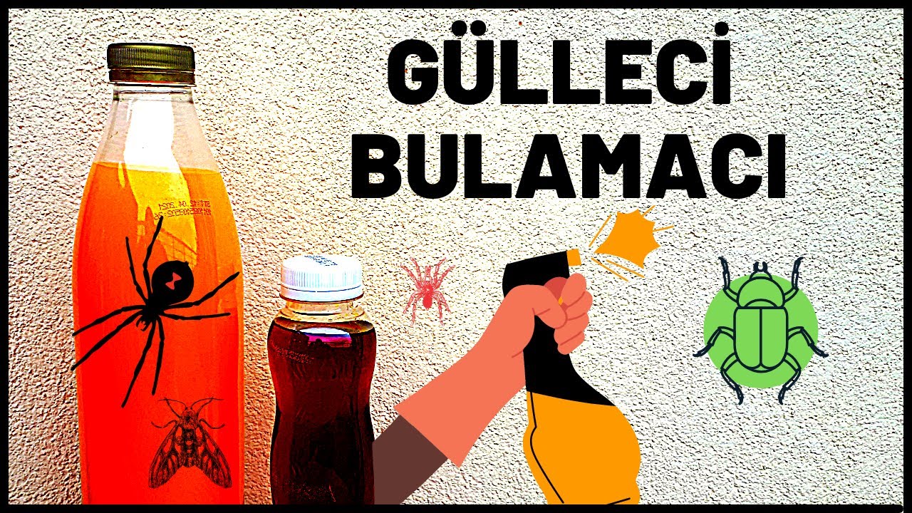 %1 LİK GÜLLECİ BULAMACI UYGULAMASI YAPTIK