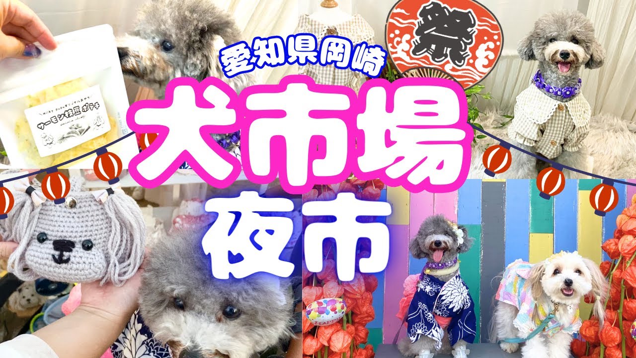 犬市場夜市㏌岡崎2023で犬服、犬用リュック、おやつ爆買い！時間が足りなかった💦視聴者さんにプレゼントも💕前編（愛知県）