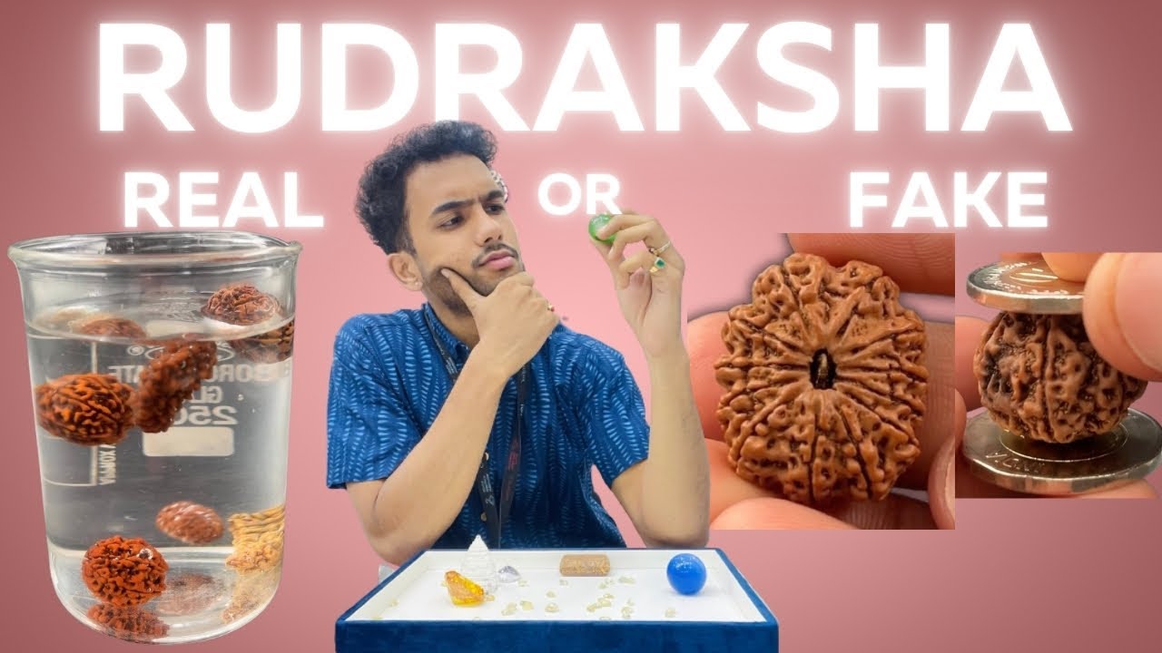 Rudraksha Kaise Dharan Kare | Rudraksha Price | Fake Rudraksha | Water Test | Rudraksha Coin Test
