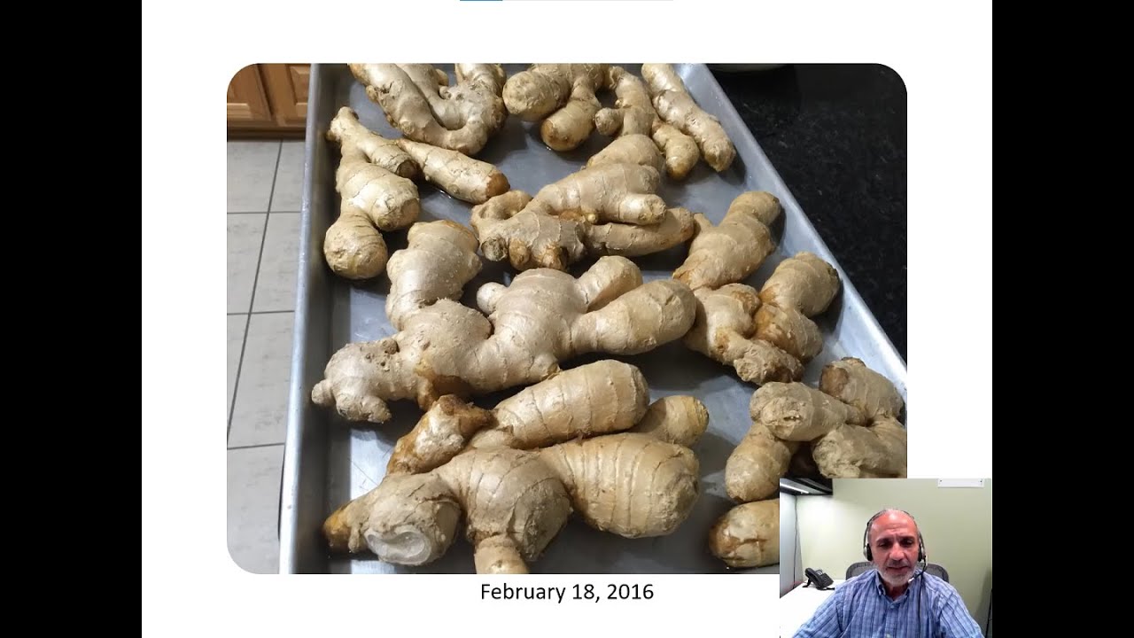 How to Grow Ginger and Taro
