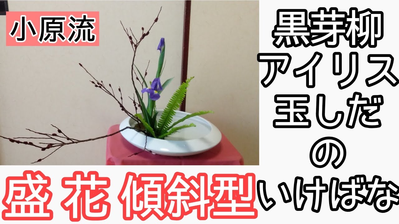 いけばな小原流　黒芽柳　アイリス　玉シダ　傾斜型　色彩盛花色彩本位　始めよういけばな　レッスン！