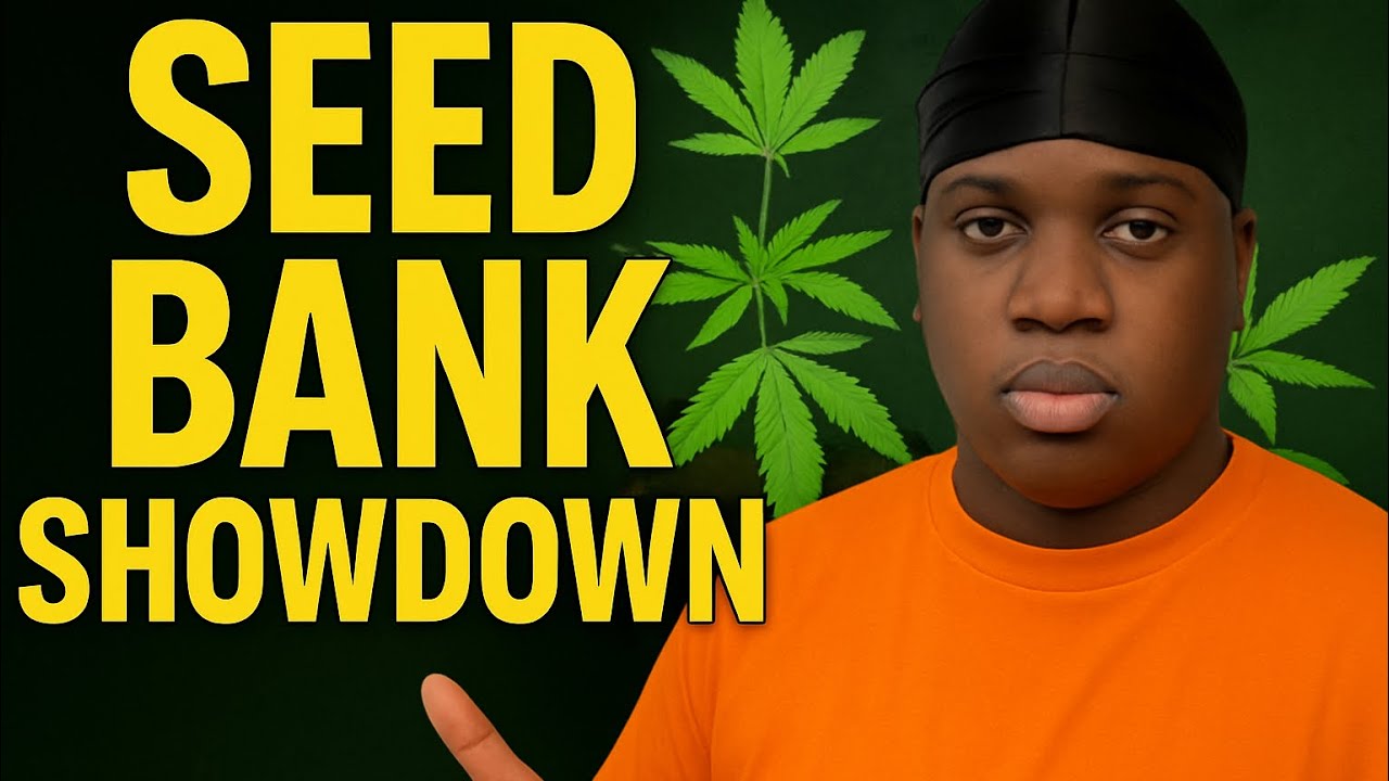 Seed Bank Showdown: Seedsman vs Seed Supreme! (Kush & Beans Season 1)