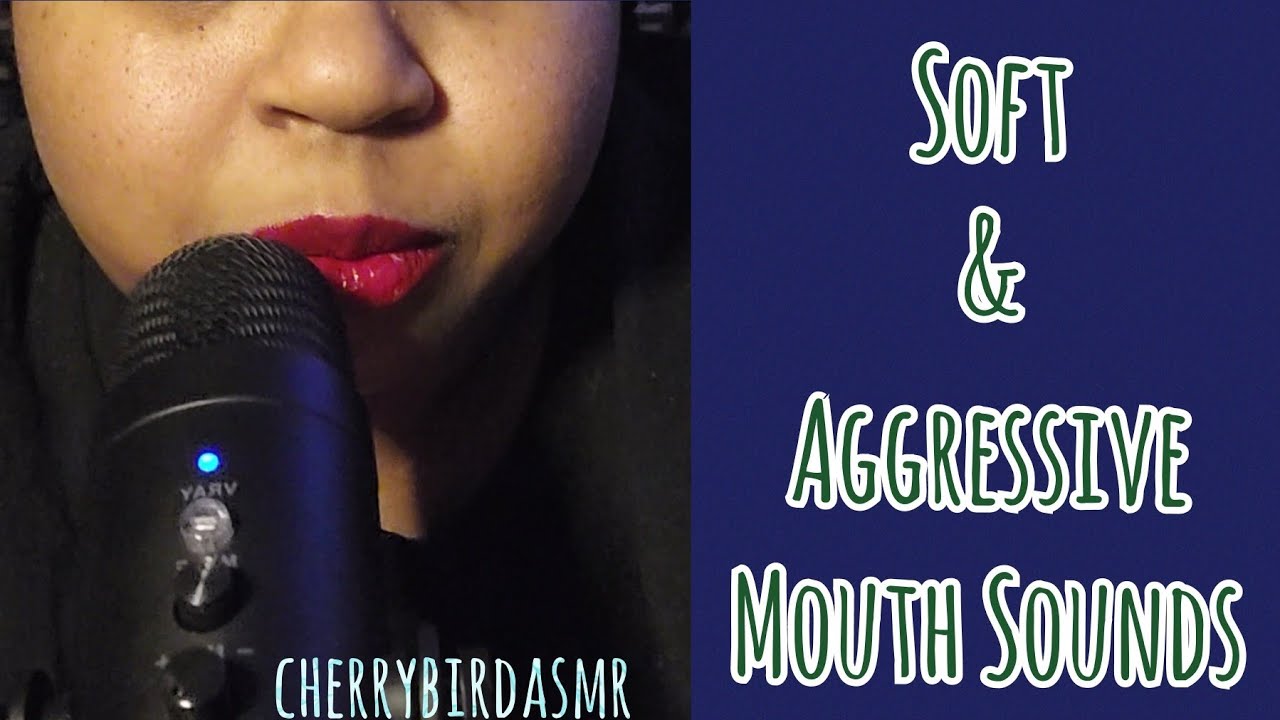 ASMR Soft & Aggressive Mouth Sounds||No talking (intro only)