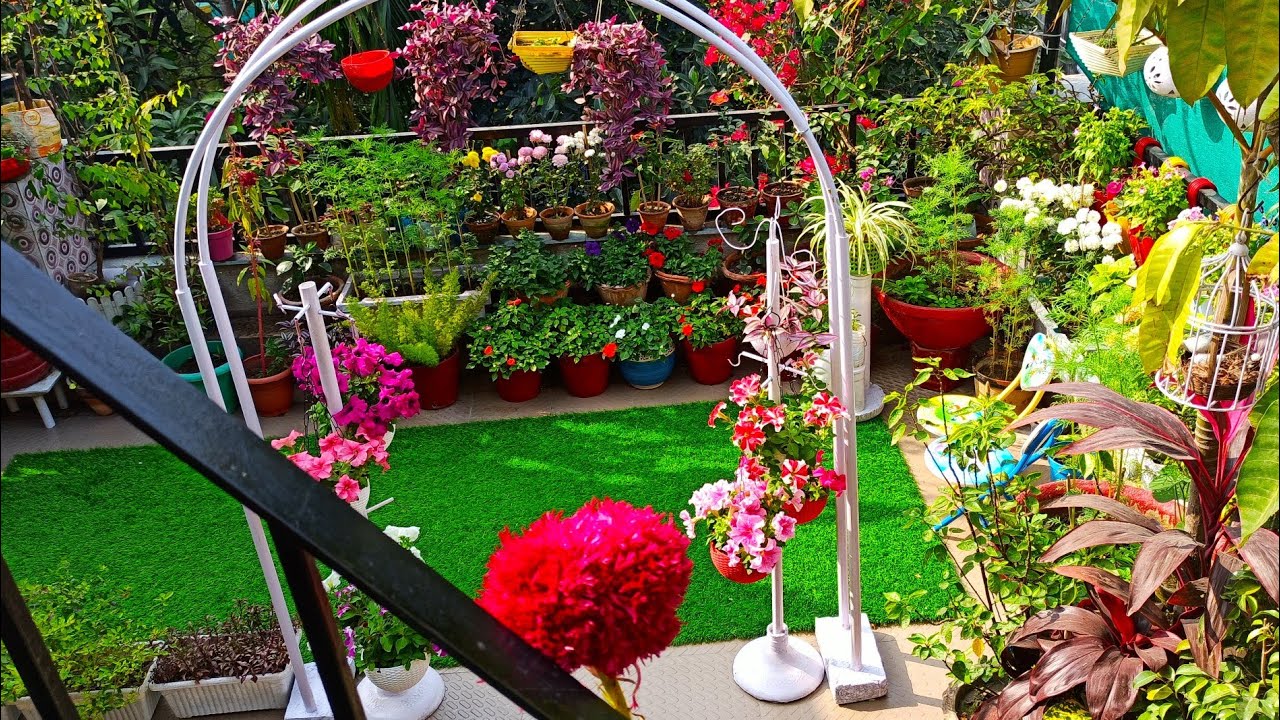 PVC pipe Garden Arch DIY / Mere garden ke liye ye gift mila hai mere taraf se ... 😀