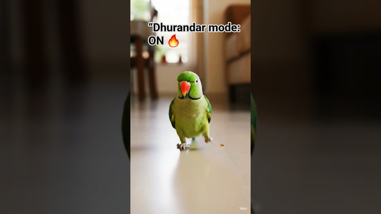 Screen choti hai swag full size 😎  
